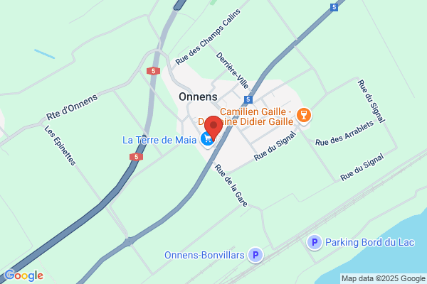 Denner Satellite