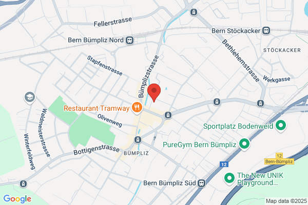 BWU Informatik AG