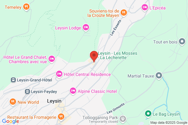 GSL Gestion sportive Leysin SA
