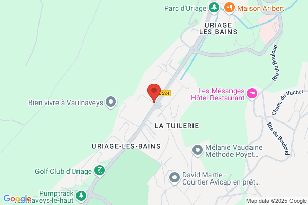 Hôtel des Alpes