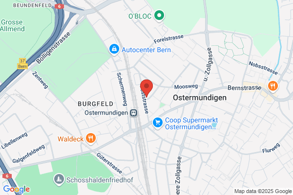 Thoenen Boegli und Bluntschli