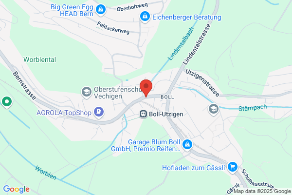 Fahrschule Gecko