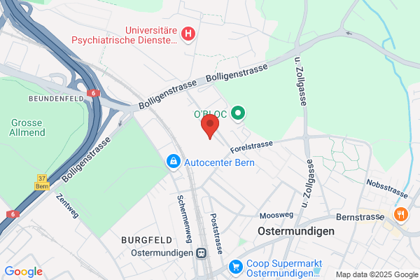 Vereinigung Berner Spezialgeschaefte