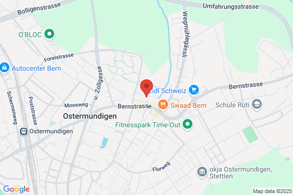 Schweiz. Hebammenverband