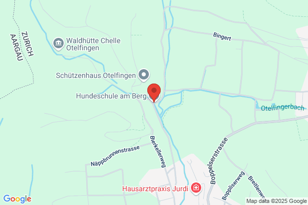 Hundeausbildung Schmoelz