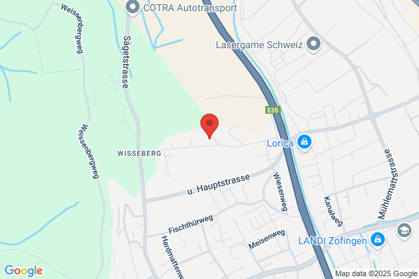 TWS TAXI WERBUNG SCHWEIZ AG