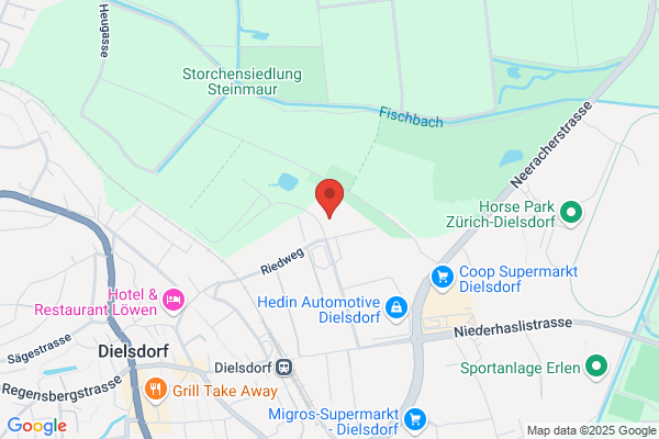 Alphabet Fleet Management (Switzerland) Ltd