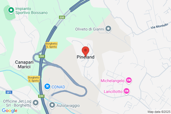 Pineland Group LTD