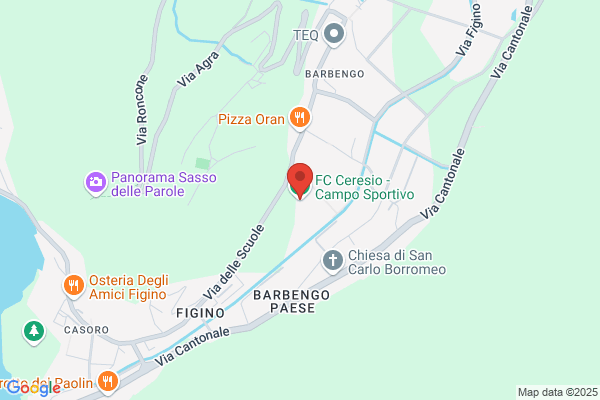 TICINOCALCIO.CH Sagl