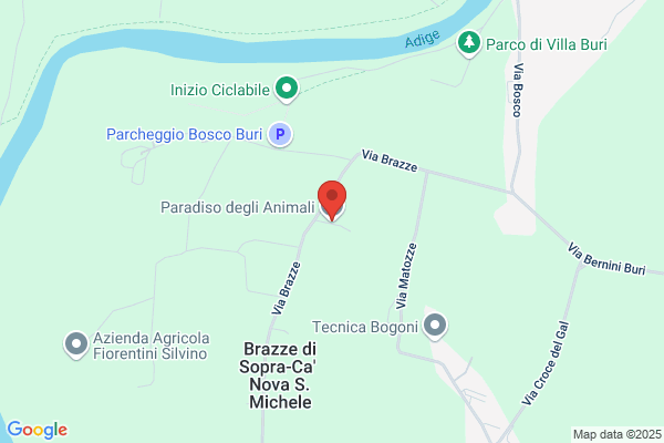Pensione Paradiso dei gatti