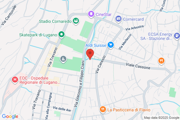 Wire und Wireless Groupe SA palazzo Capse