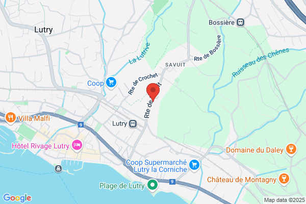 Forster Immobilière SA