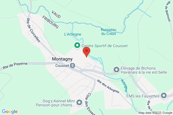 Service du feu Montagny les Monts