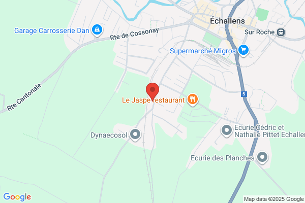 Stajessi SA