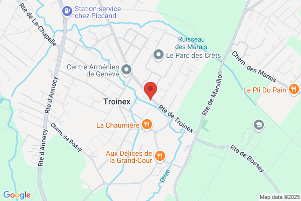 Garage de Troinex SA