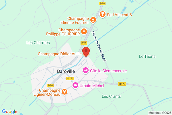 Raymond Vuille
