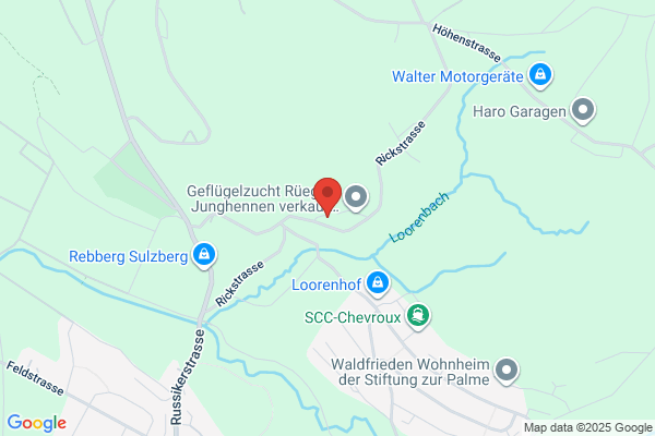 Catering-mobil.ch