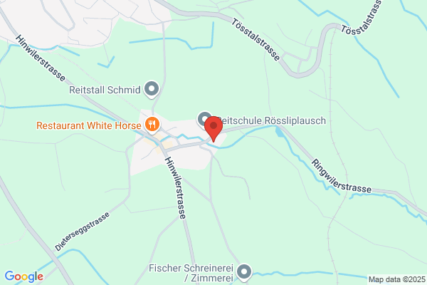 Hydranten und Service GmbH