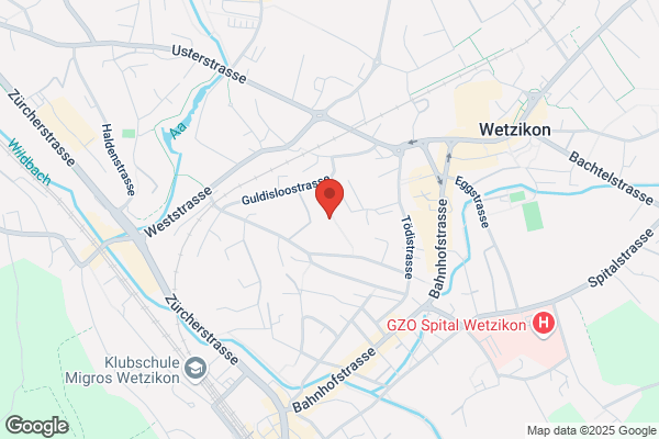 Primarschule Guldisloo
