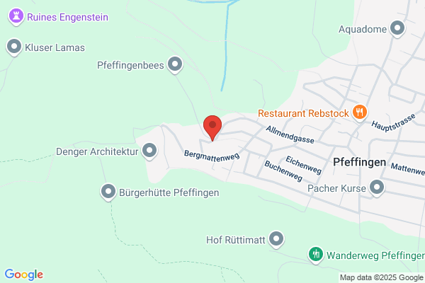 Boelsterli HepaTox Consulting