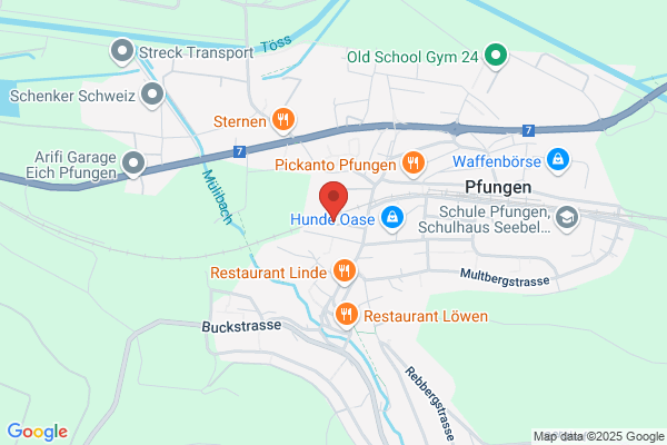 Oberstufenschule Freienstein