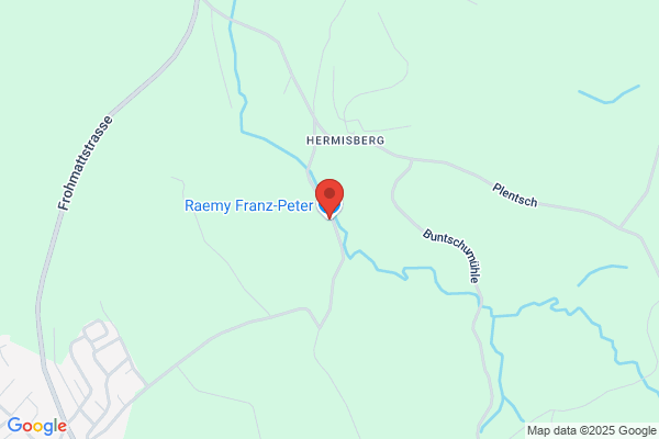RAEMY Franz-Peter GmbH