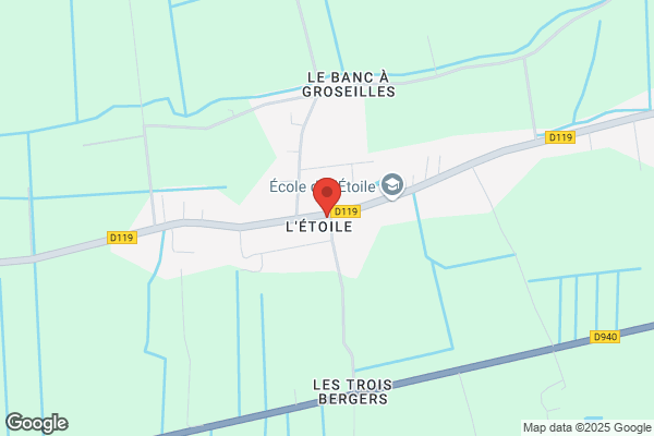 Chicorée