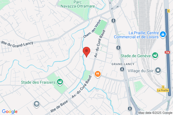 Lancy-Natation