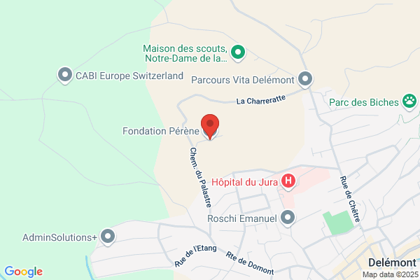 Fondation Pérène