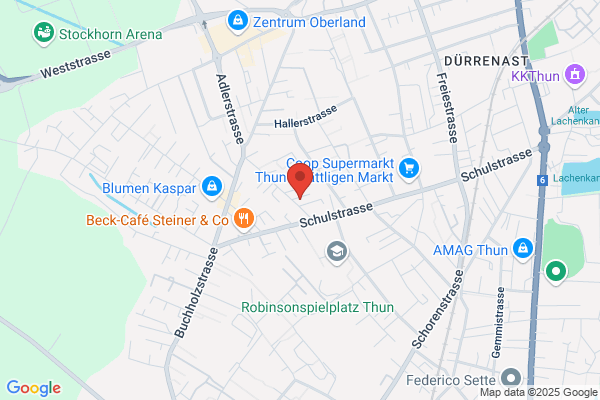 Inter. Bodyguard and Security GmbH