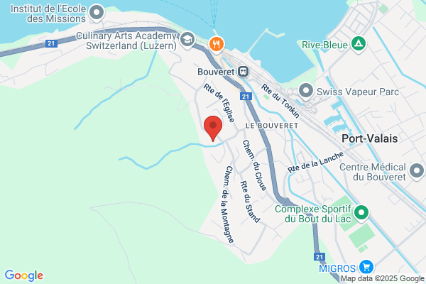 Fondation Chats des Rues