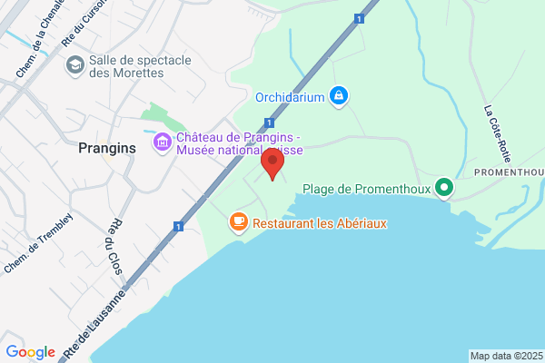 L'Odela