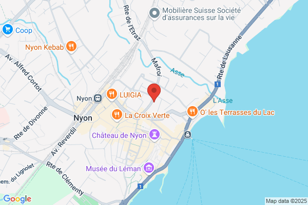 Polyanalytic Nyon
