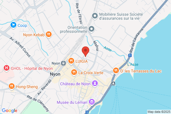 l'Elastique Citrique