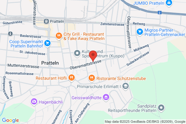 Pfirter Soehne