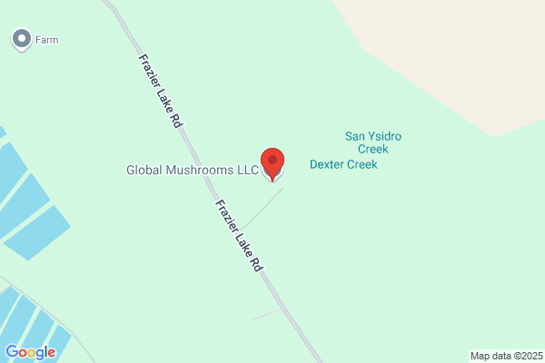 Global Mushrooms AG