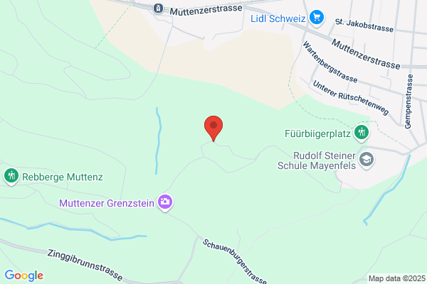 Weinbau Leuengrund - Schneider Weine