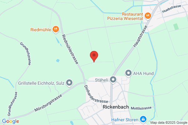 Romi's Mobilsaegewerk GmbH