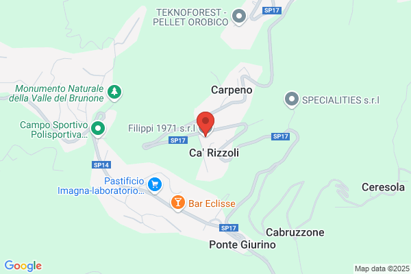 Roberto Filippi