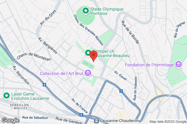 International Roller und In-line contest of Lausanne
