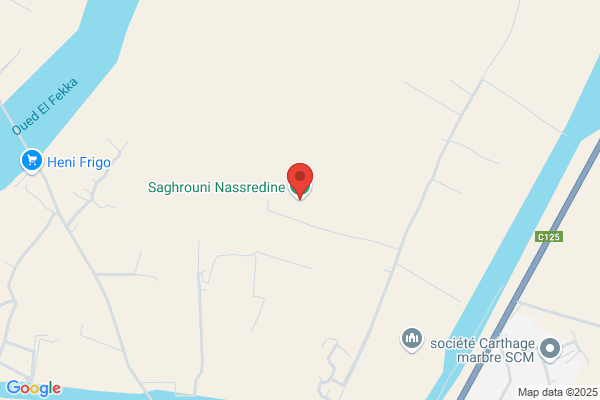 Nasredine Saghrouni