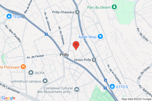 Schmid Acoustique