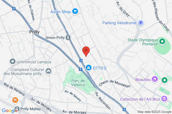 Toledo Rojas parquets