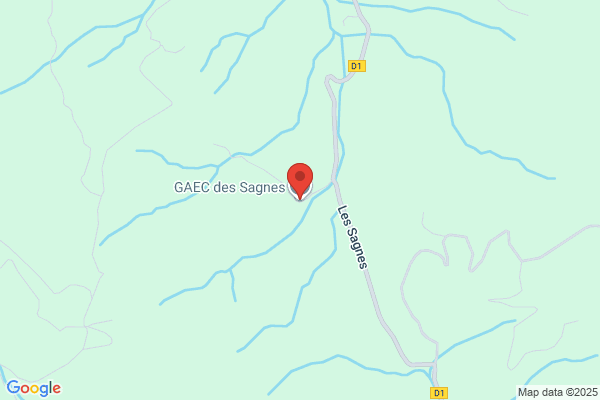 Didier Sagne