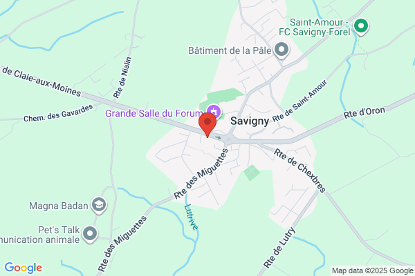 Garage des Trois-Sapins