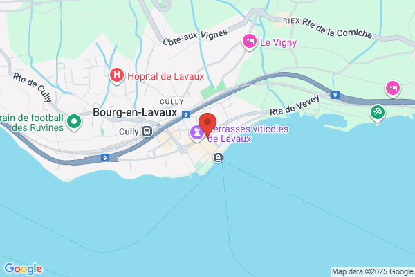 Auberge du Raisin Gauer und Cie