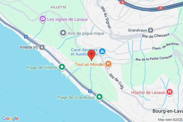 Pinget Vins SA