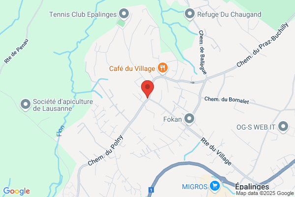 Collège du Village