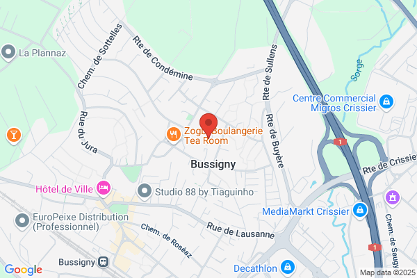 VIP électronique Produit und Vincent radio-TV