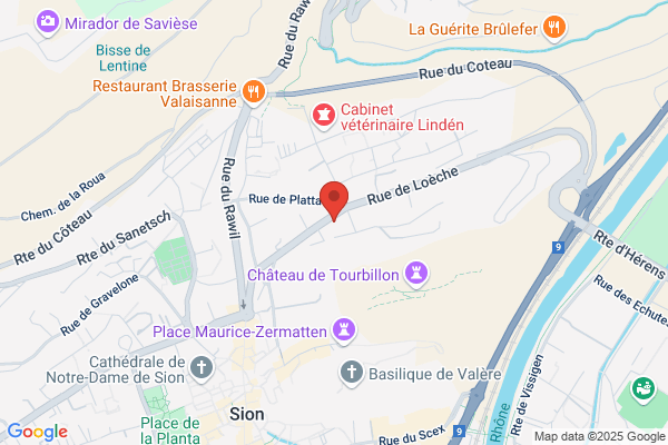Ofirex Lausanne SA